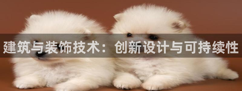 中国新航娱乐在哪个平台