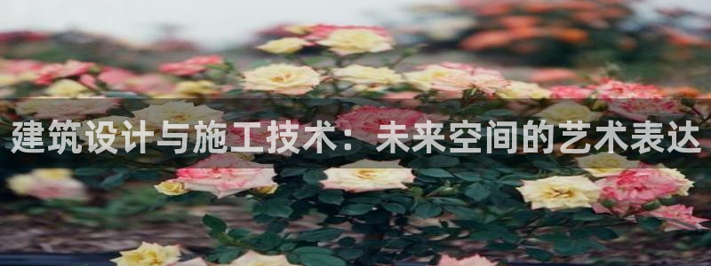 辽宁新航文化娱乐传媒