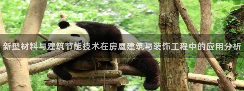 新航娱乐有限公司地址