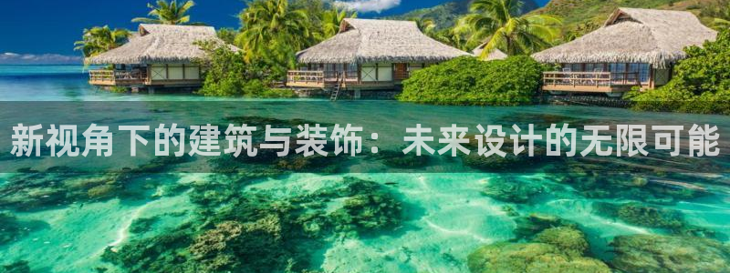新航娱乐公司问题分析