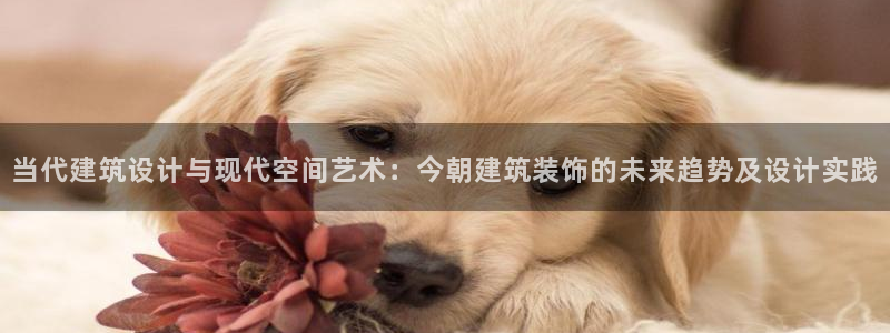 新航娱乐公司招聘电话