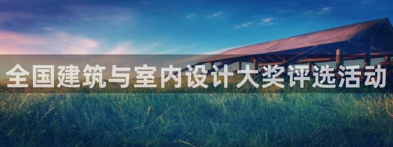 新航娱乐公司问题分析