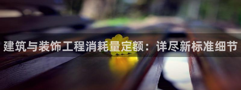 新航虚拟娱乐