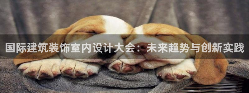 新航娱乐app下载安卓