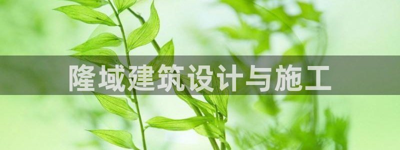 新航娱乐有限公司