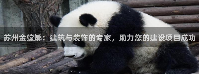 新航娱乐观