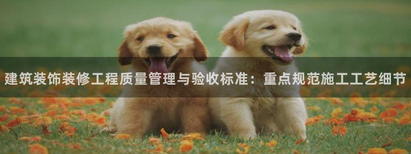 新航娱乐传媒招聘信息