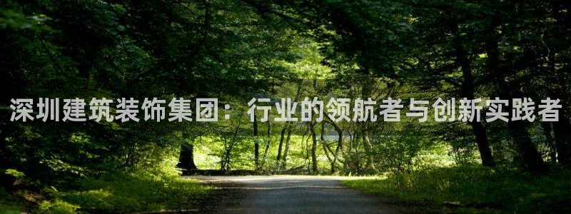 新航娱乐公司怎么样