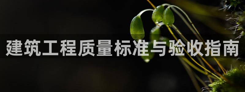 萧山娱乐新航母阿里巴巴